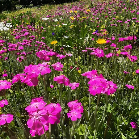 La De La Foux Nocleg ze śniadaniem